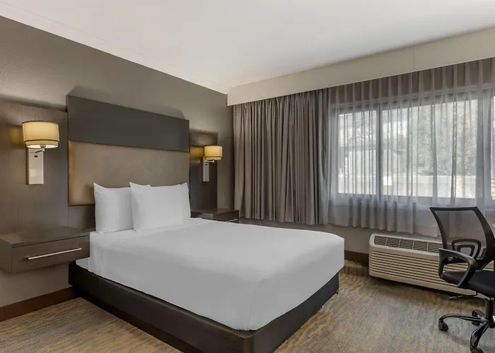 Western At O'hare Hotel Rosemont