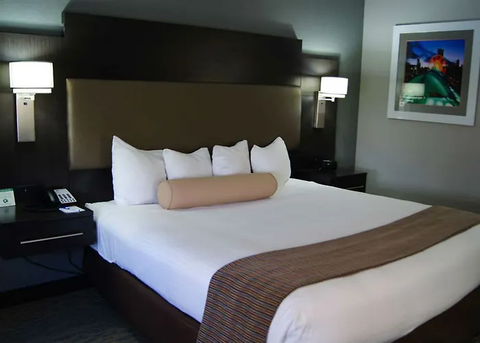 Hotel Western At O'hare Rosemont